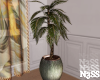 _N.R. Potted Palm_
