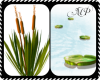 2 aquatic plant fillers