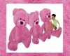 3 bears in pink