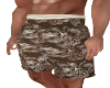 Paxton Beach Shorts-2