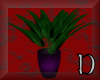 purple LOVE plant