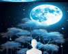 Moon light night bg