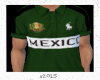 Mexico polo
