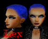 LEX - close cut blue