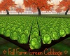 Fall Farm Green Cabbage