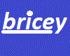 Brice sign