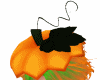llzM.. Pumpkin Hat