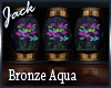 Bronze Aqua Club