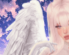&acirc;�&iexcl; | &aring;&curren;&copy;&auml;&frac12;&iquest;