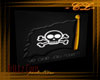 -CZ- Jolly Roger Pic! 