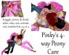 Pinkys 4-way Peony Care