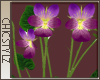 Derivable Violets