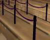 [TK] Purple Black Ropes