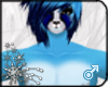 :ICE Blue Fox 9Tails