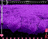*P TwistedAlice Rug
