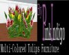 PI - Multi-Colord Tulips