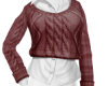 Sweater Shirt