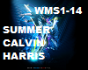 Summer by Calvin Harris