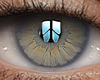 Eyes