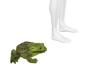 Frog Pet