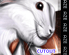 Pretty Rabbit Cutout