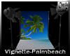 PhotoVignette- Palmbeach