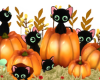 Halloween Kittens