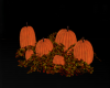 :YL:Halloween pumpkins