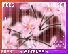 🌸; Spring Sakura Wand