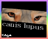 Canis lupus T-shirt