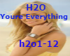 H2O