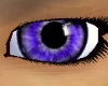 eyez~dark purple