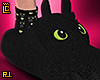 r. Toothless Slides F