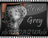Print Grey