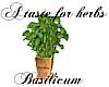 Herbs: Basilicum
