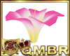 QMBR Fairy Flower  Pzs