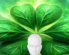 Four leaf clover bg