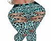 Teal Lepard Pants