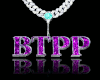 BTPP Custom