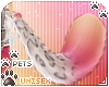 [Pets] Reni | tail v2