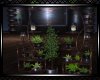 *Country Plant Shelve