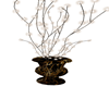Lighted Plant