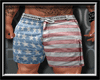 American Faded Shorts