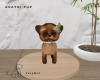 Agathi pup