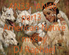 *RF*DJRaph-AmericNat p3