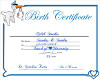 Our Son Birth Certif