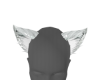 arctic grey wolf ears