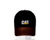 [BadBoy81] Cat