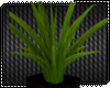 House Plant [Lyn]