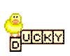 Ducky Blocks
